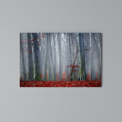 TRANQUIL RED ELEGANCE Horizontal Canvas Print