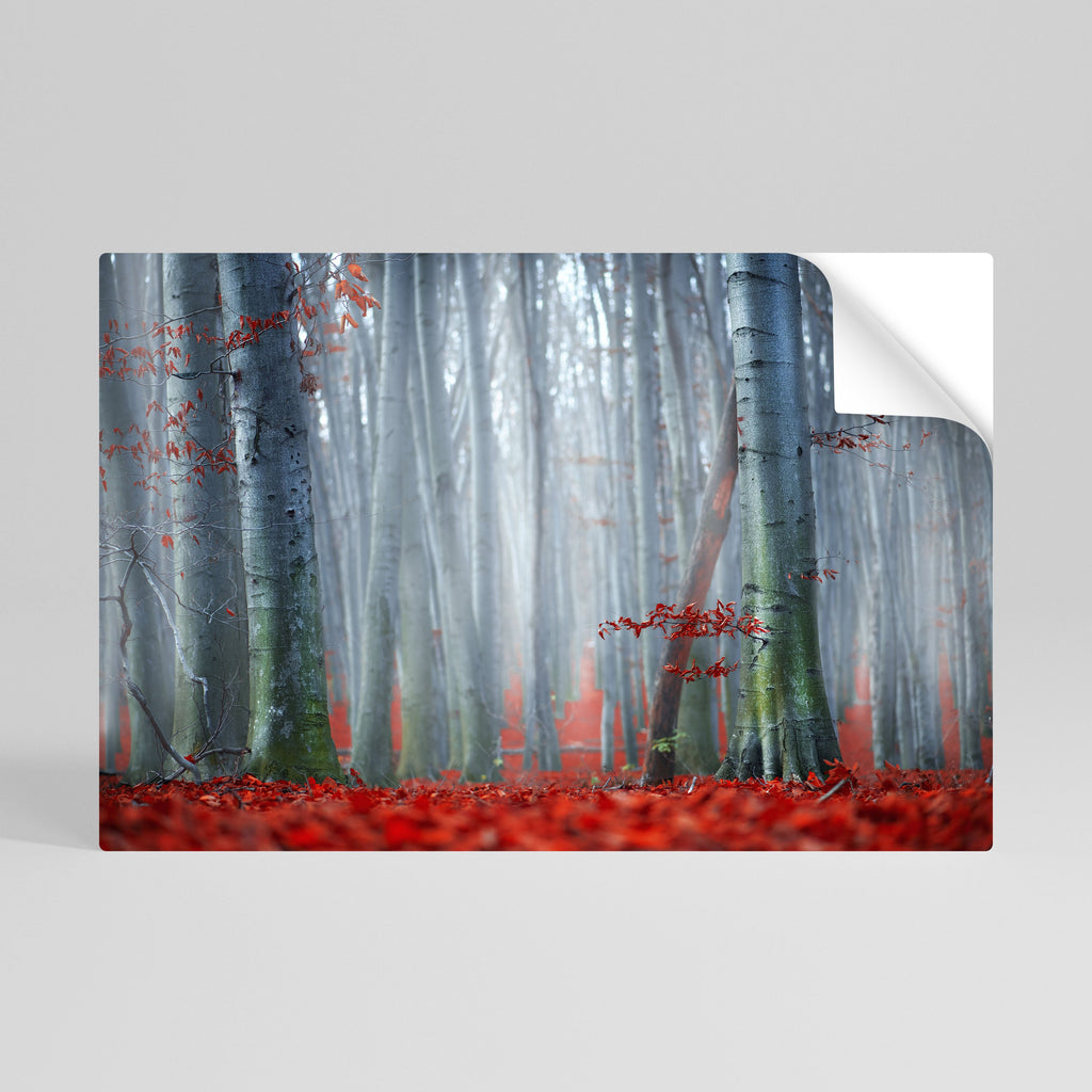 Affiche horizontale autocollante TRANQUIL RED ELEGANCE