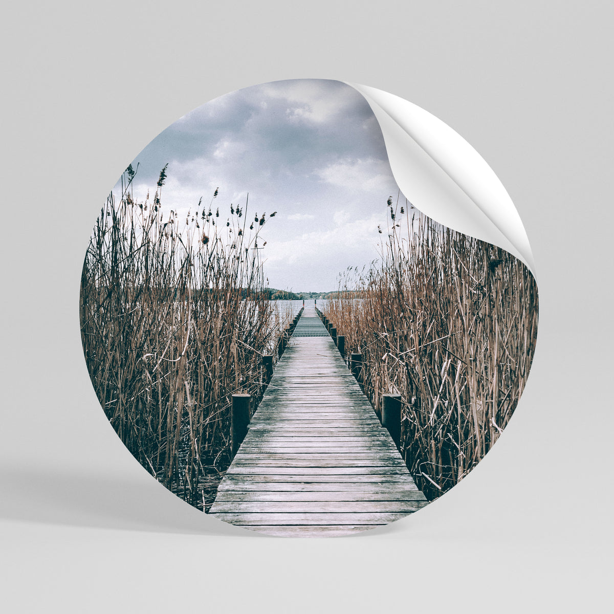 GAZE INTO STILLNESS Peel and Stick Round Sticker