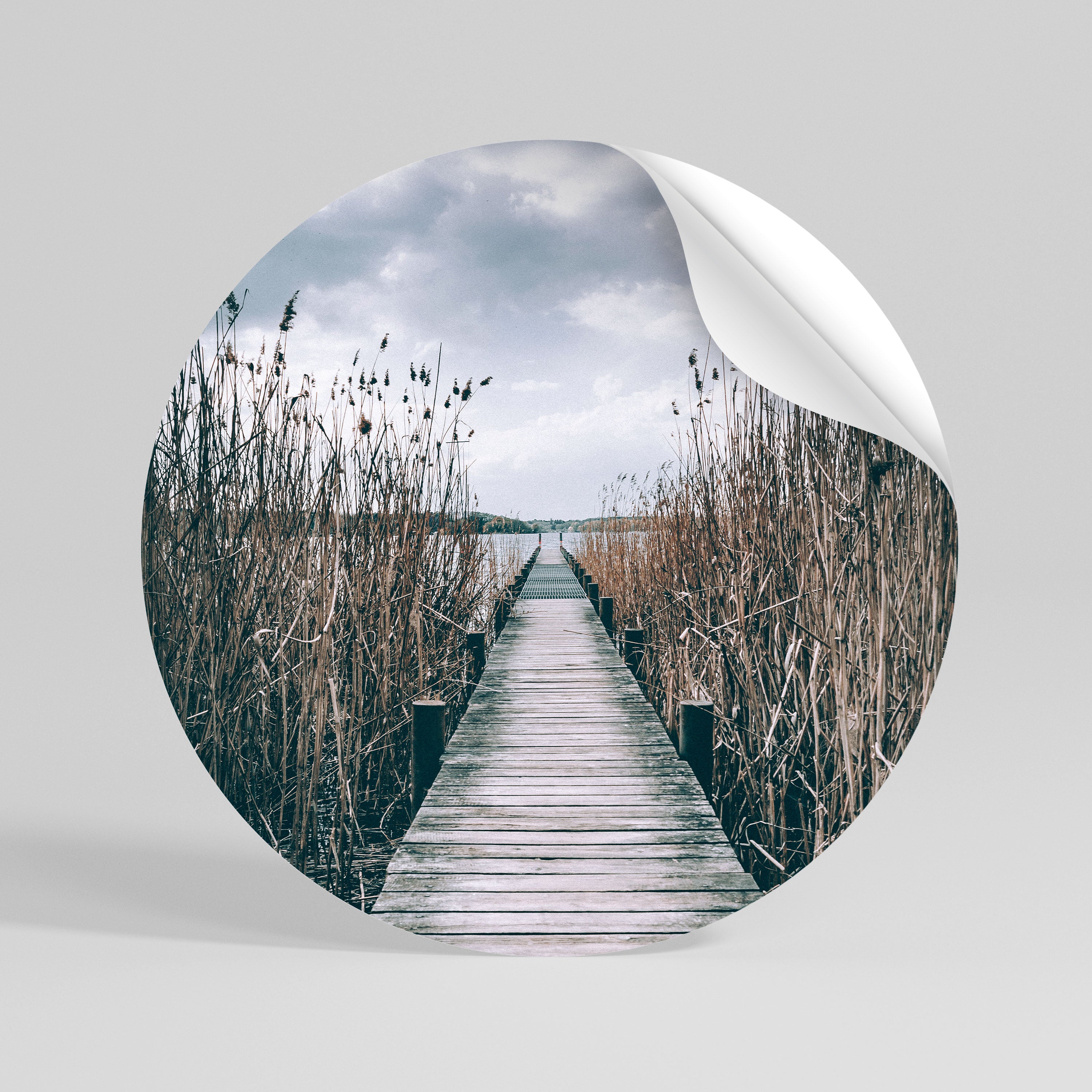 GAZE INTO STILLNESS Peel and Stick Round Sticker
