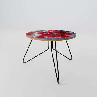 WINTER'S CRIMSON TREASURES Coffee Table