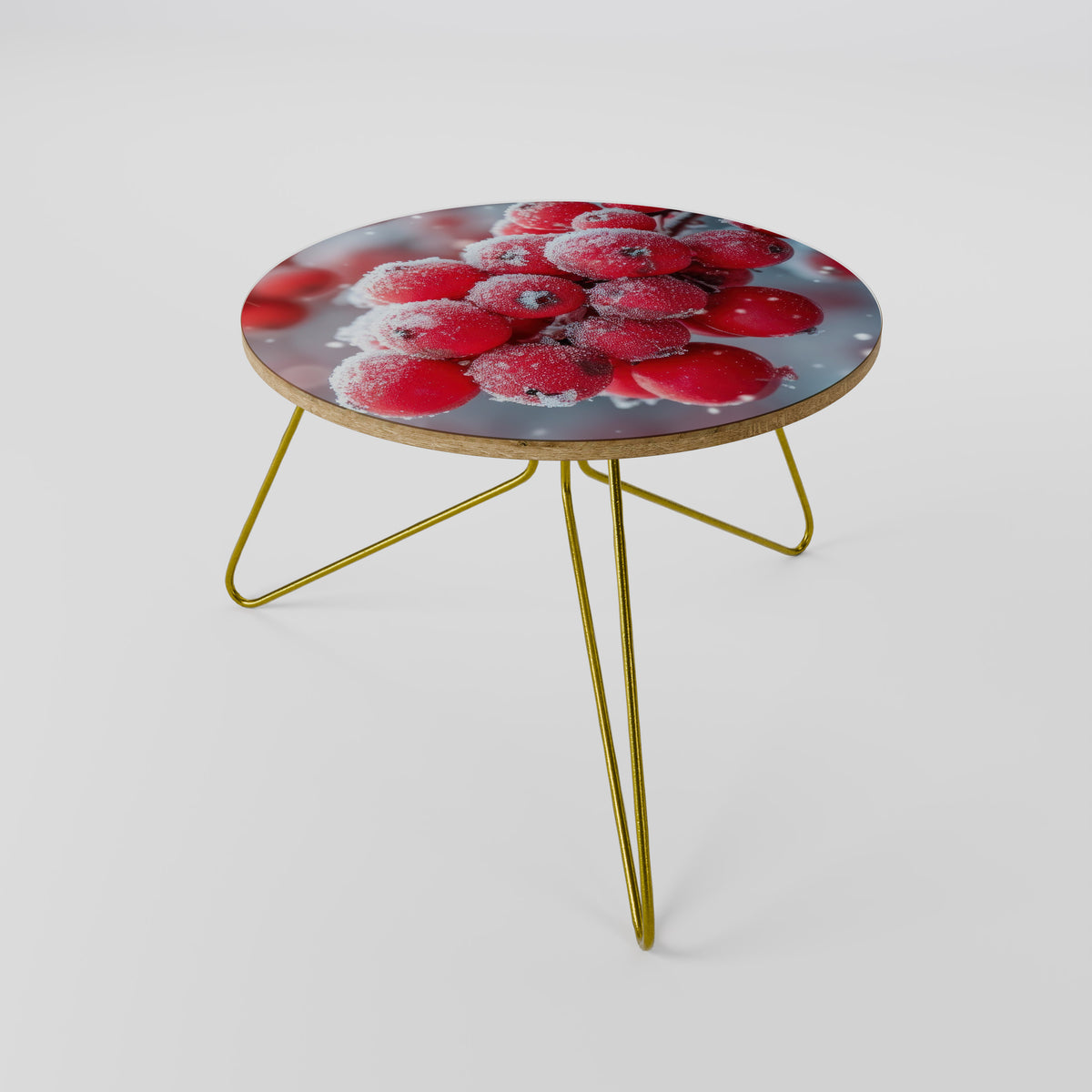 WINTER'S CRIMSON TREASURES Coffee Table