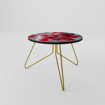 WINTER'S CRIMSON TREASURES Coffee Table