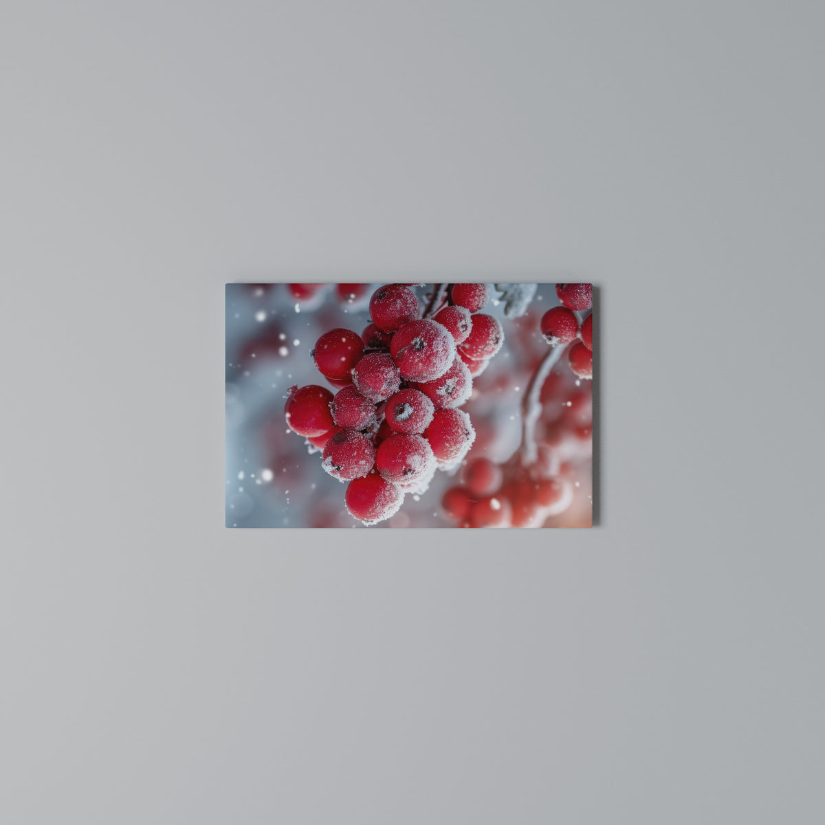 WINTER'S CRIMSON TREASURES Horizontal Canvas Print