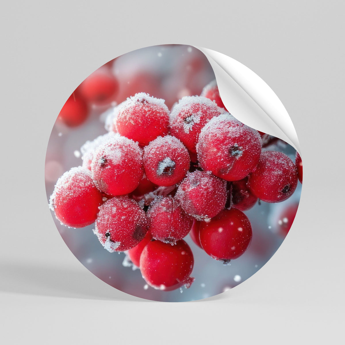 WINTER'S CRIMSON TREASURES Peel and Stick Round Sticker