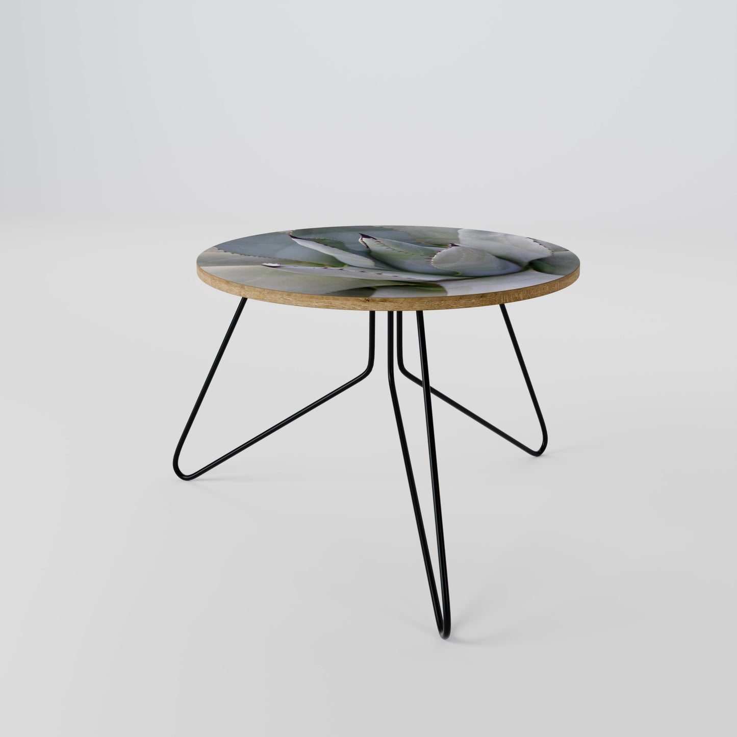 AGAVE ELEGANCE Coffee Table