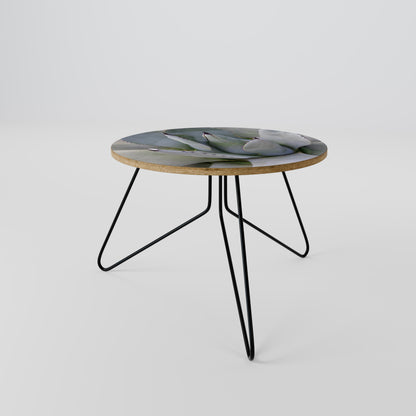 AGAVE ELEGANCE Coffee Table