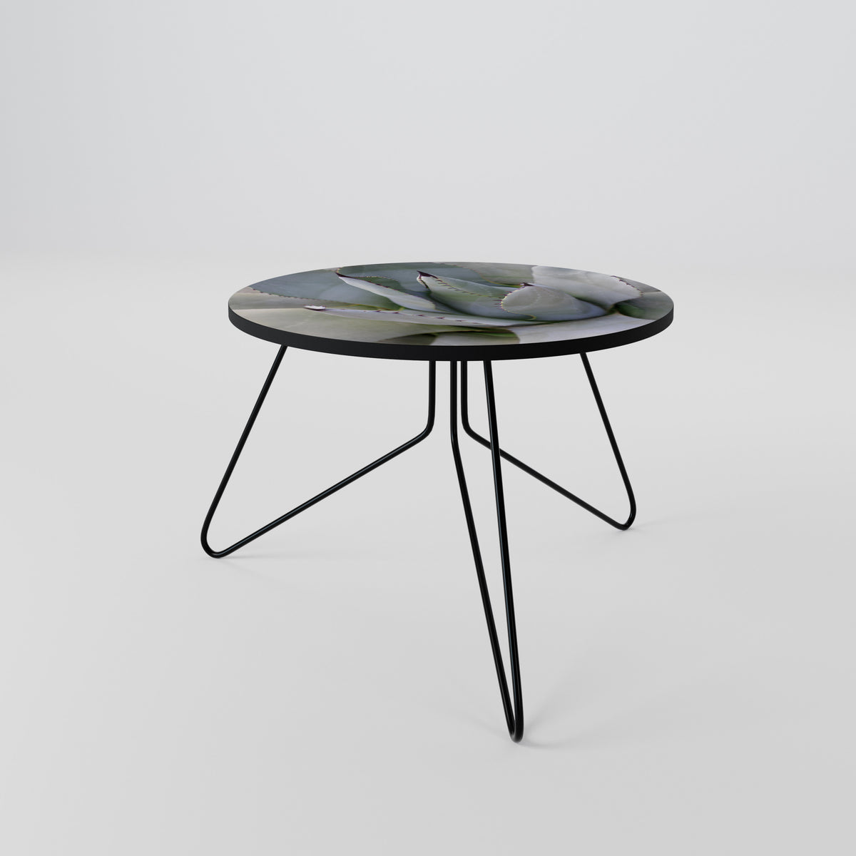 AGAVE ELEGANCE Coffee Table