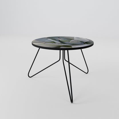 AGAVE ELEGANCE Coffee Table