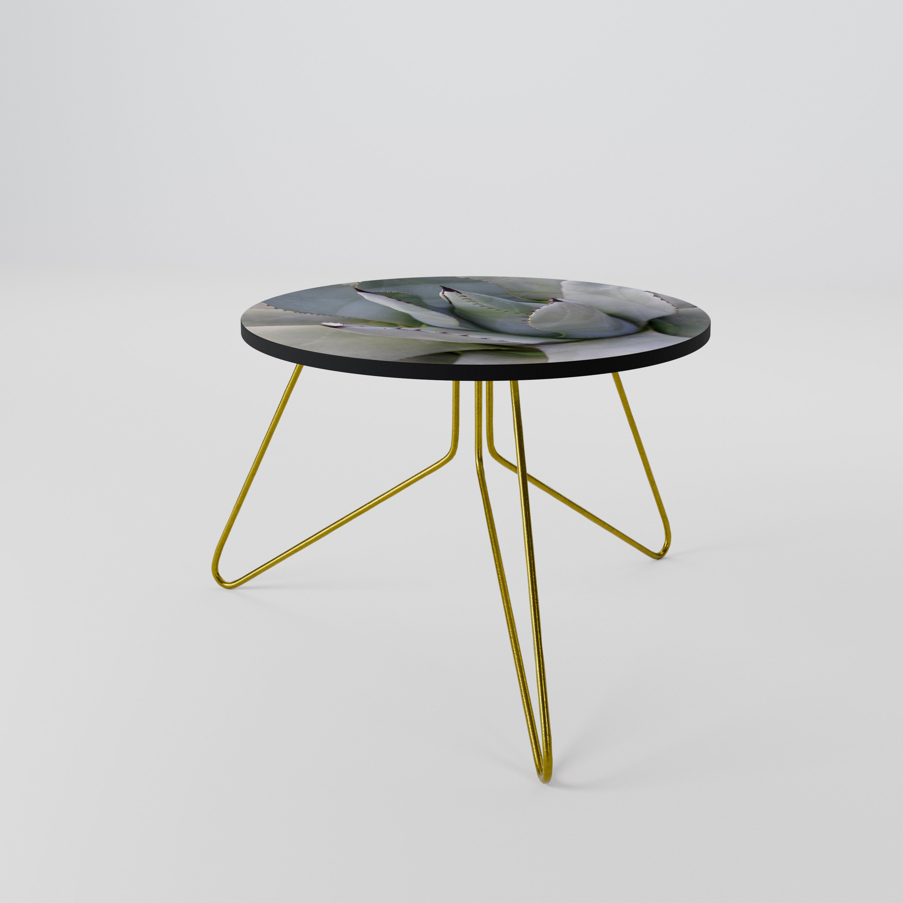 AGAVE ELEGANCE Coffee Table