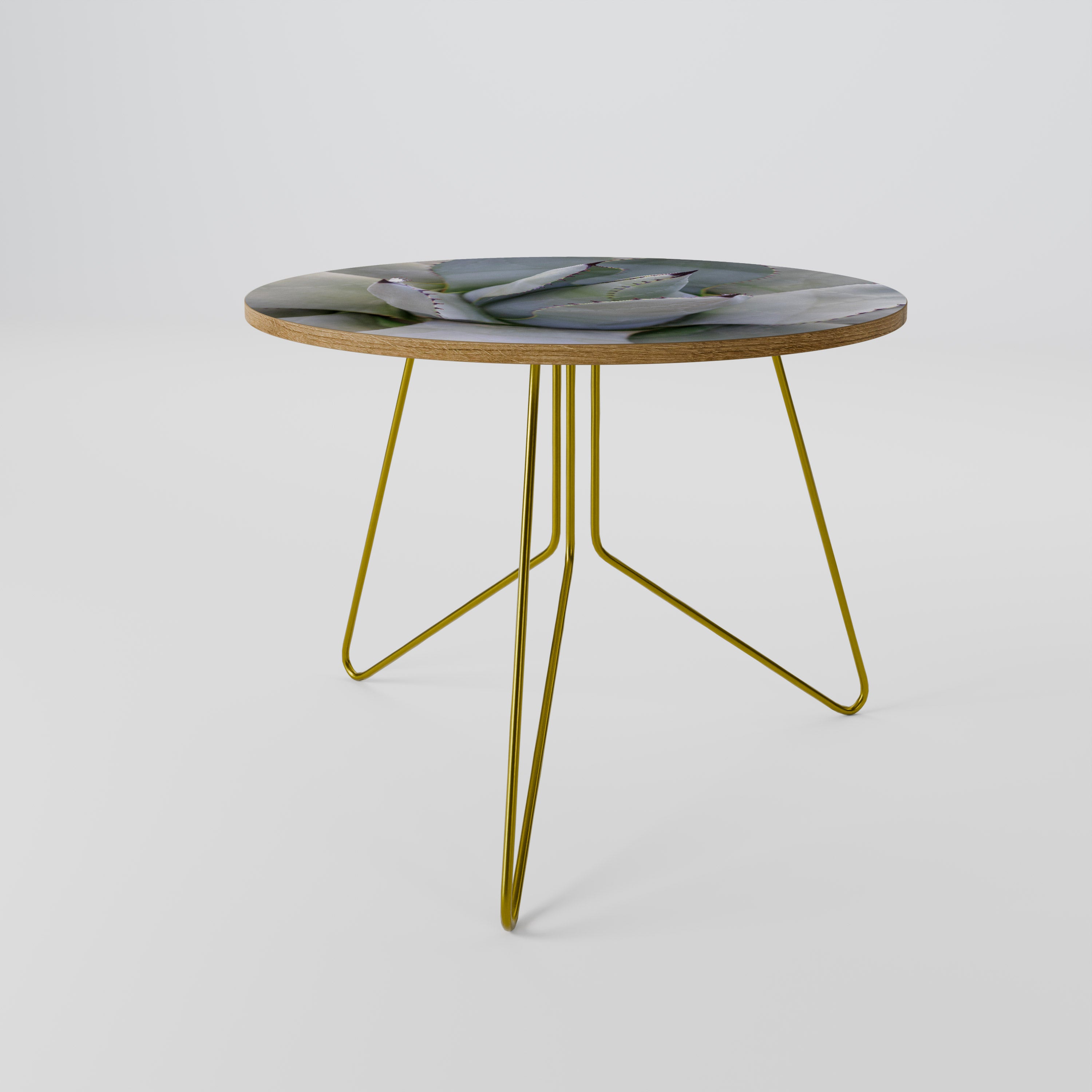 AGAVE ELEGANCE Coffee Table