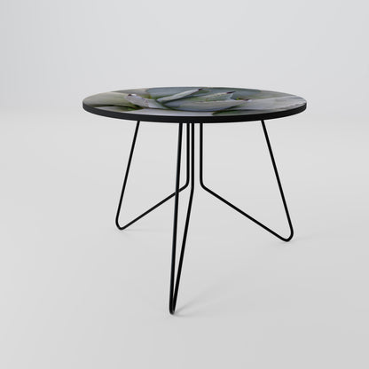 AGAVE ELEGANCE Coffee Table