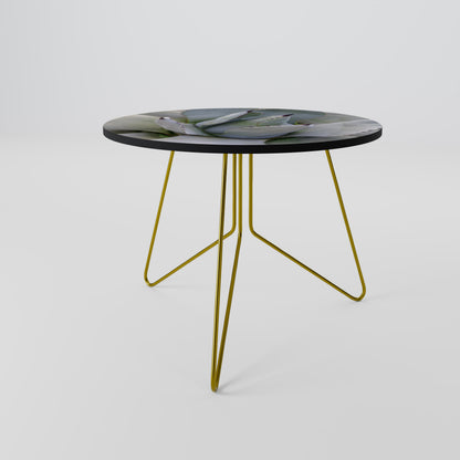 AGAVE ELEGANCE Coffee Table
