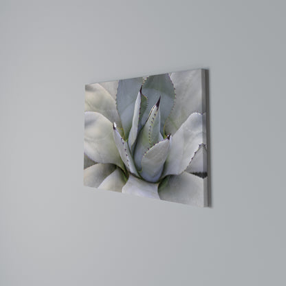 AGAVE ELEGANCE Horizontal Canvas Print