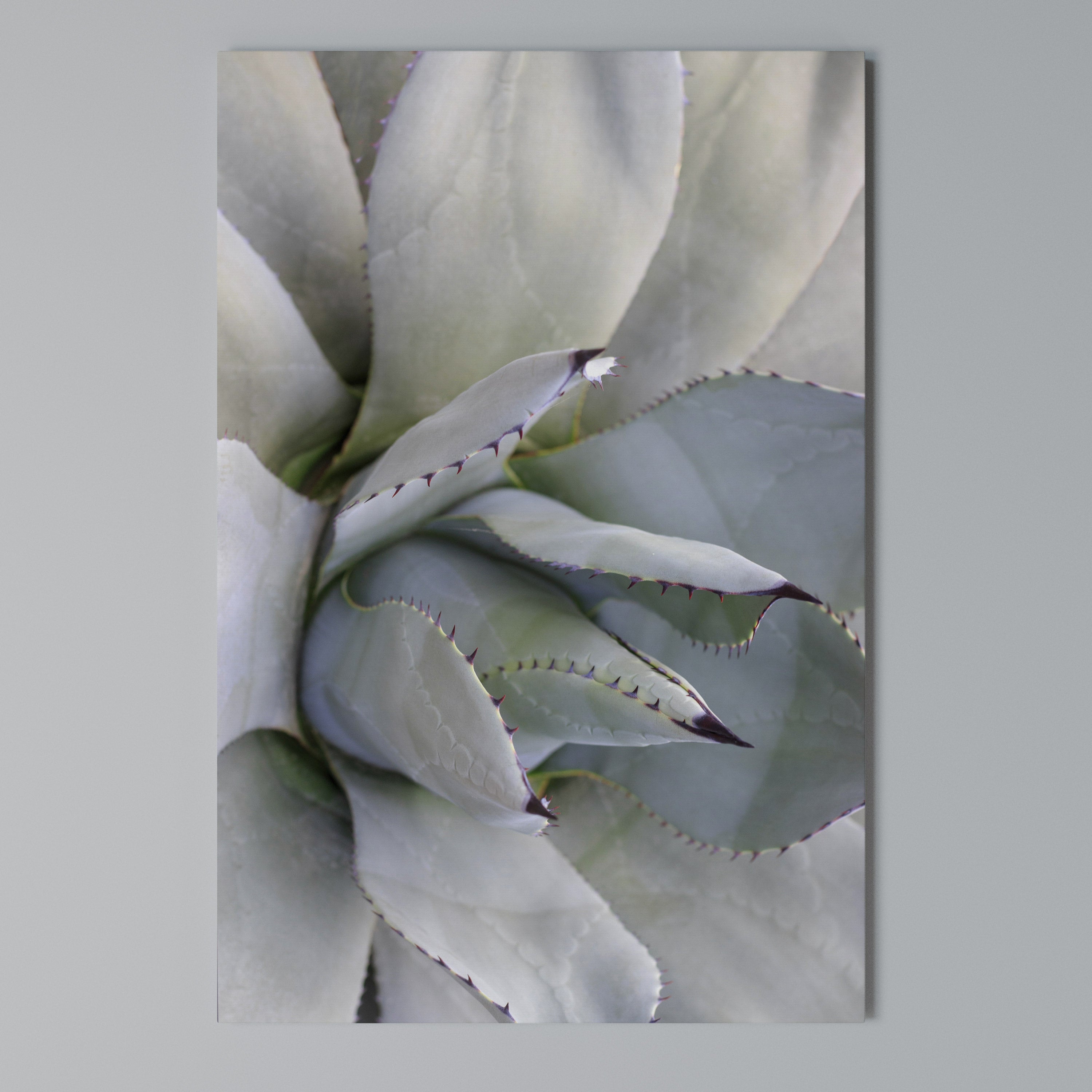 AGAVE ELEGANCE Vertical Canvas Print