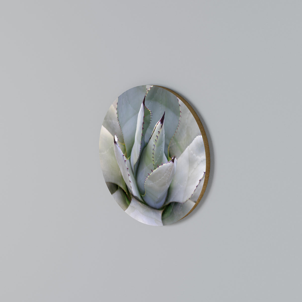 AGAVE ELEGANCE Round Wall Art