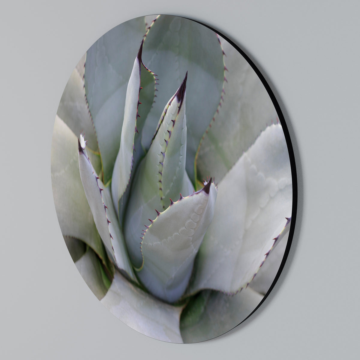 AGAVE ELEGANCE Round Wall Art