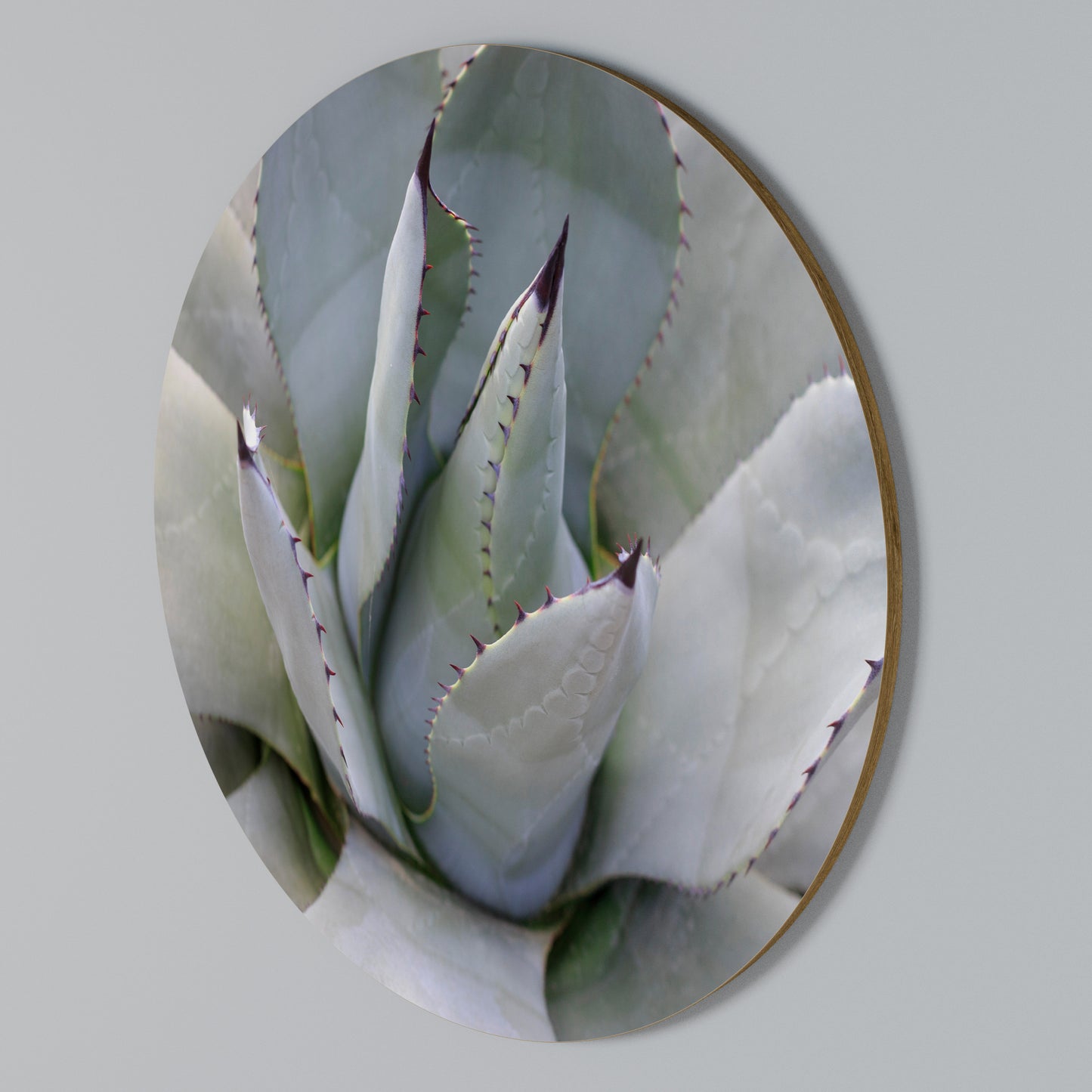 AGAVE ELEGANCE Round Wall Art