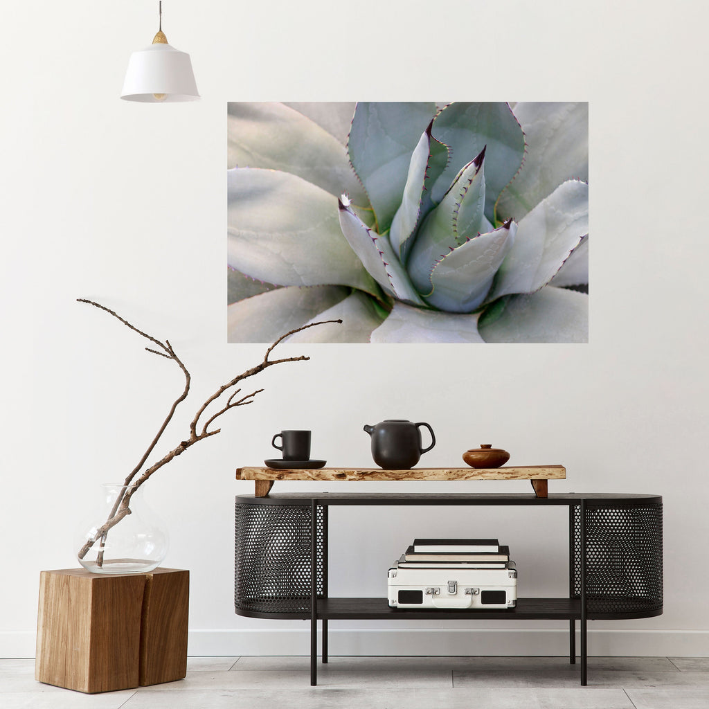 Affiche horizontale autocollante AGAVE ELEGANCE