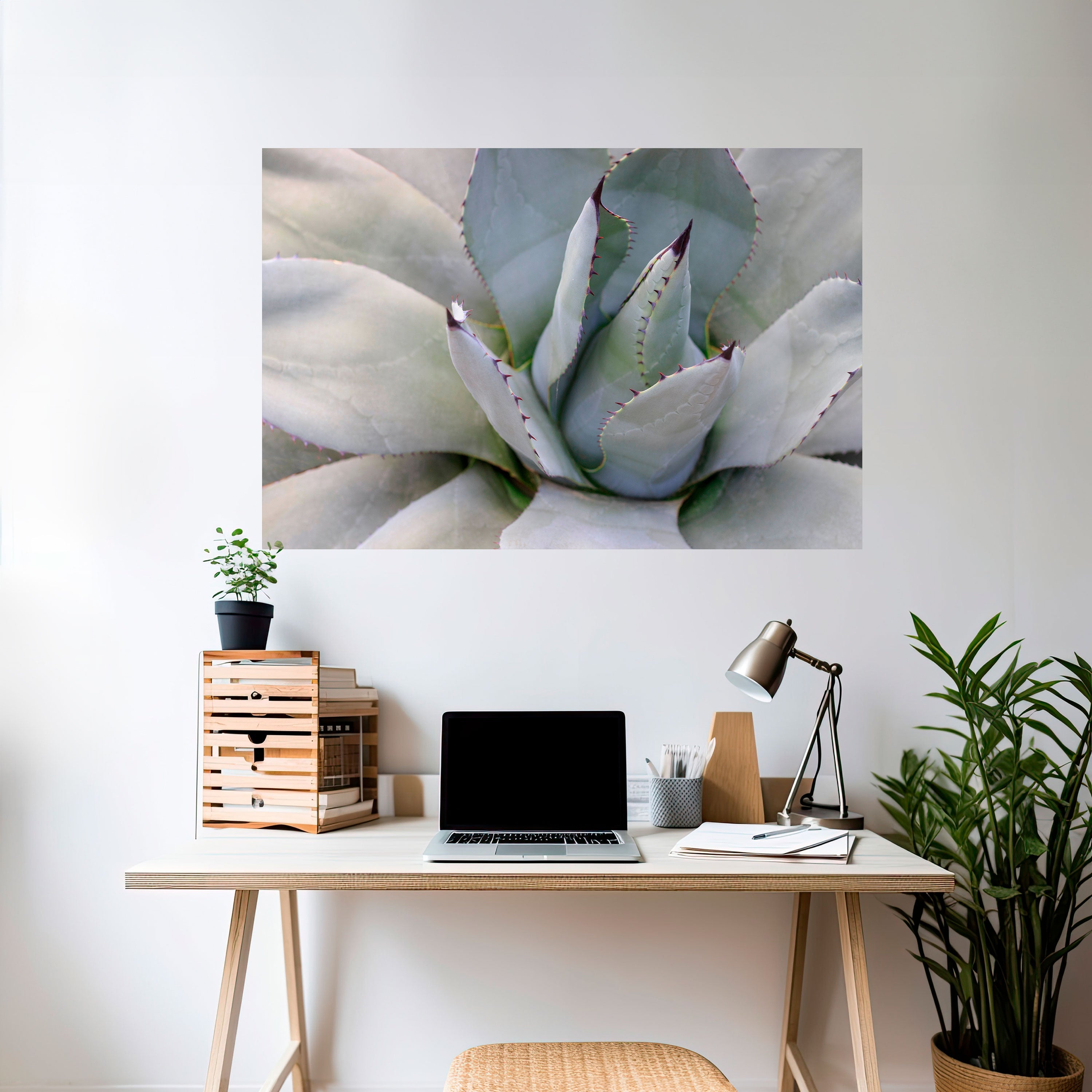Affiche horizontale autocollante AGAVE ELEGANCE