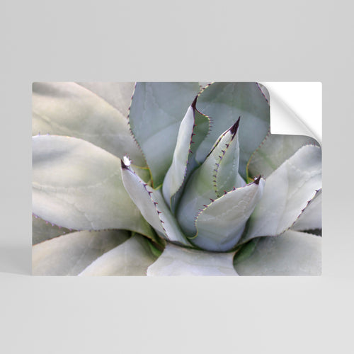 AGAVE ELEGANCE Peel and Stick Horizontal Poster