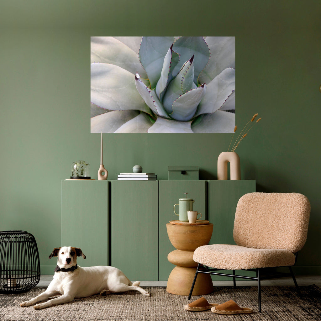Affiche horizontale autocollante AGAVE ELEGANCE