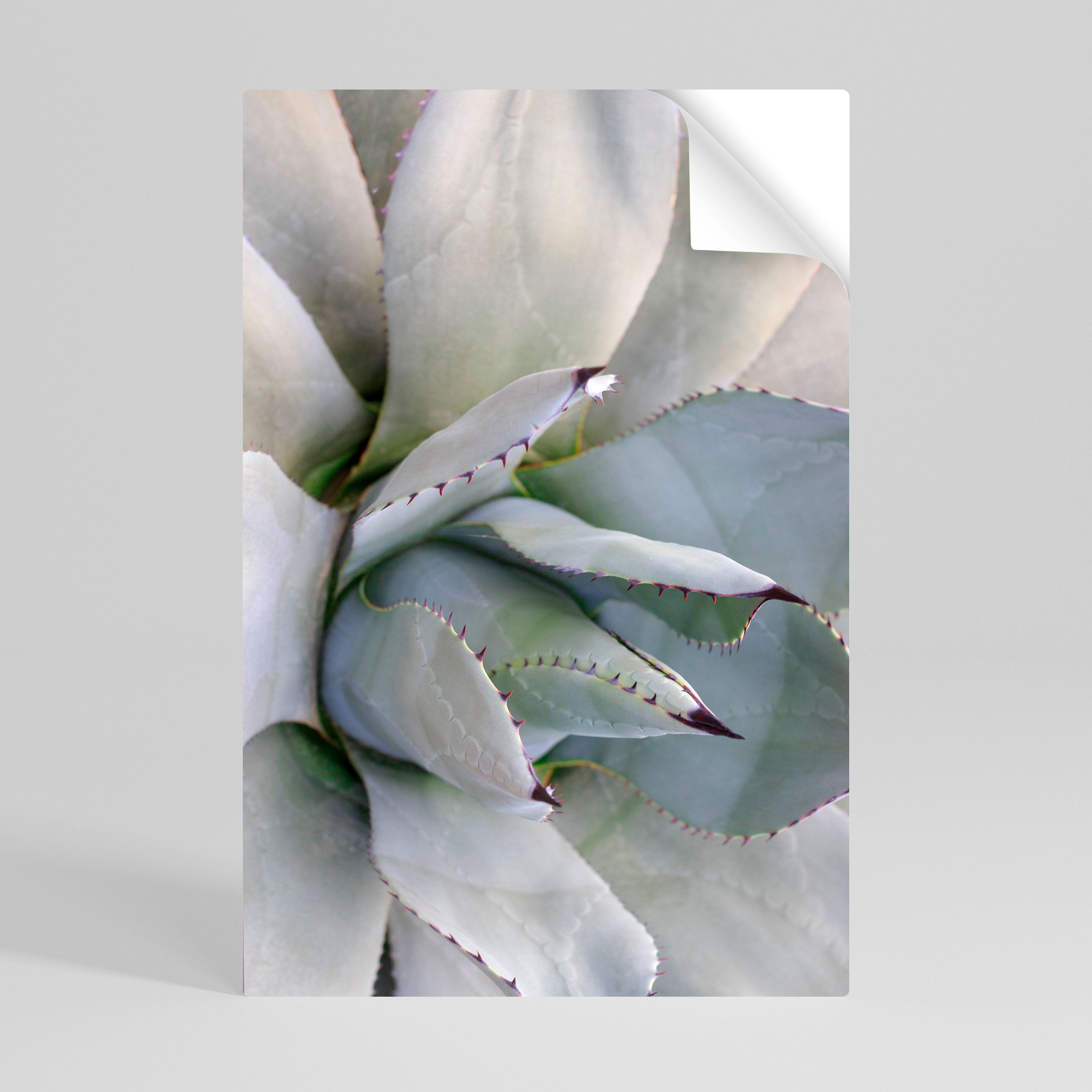 Affiche verticale autocollante AGAVE ELEGANCE
