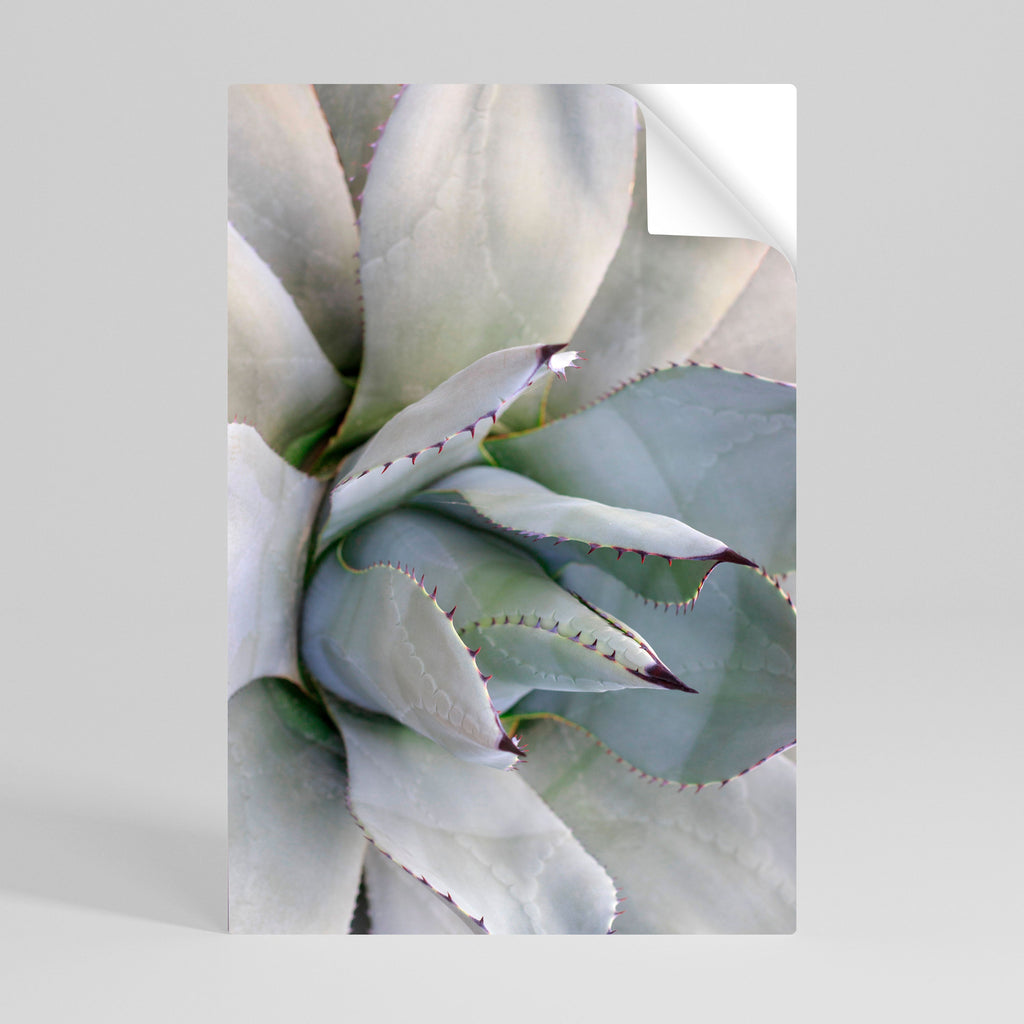 Affiche verticale autocollante AGAVE ELEGANCE