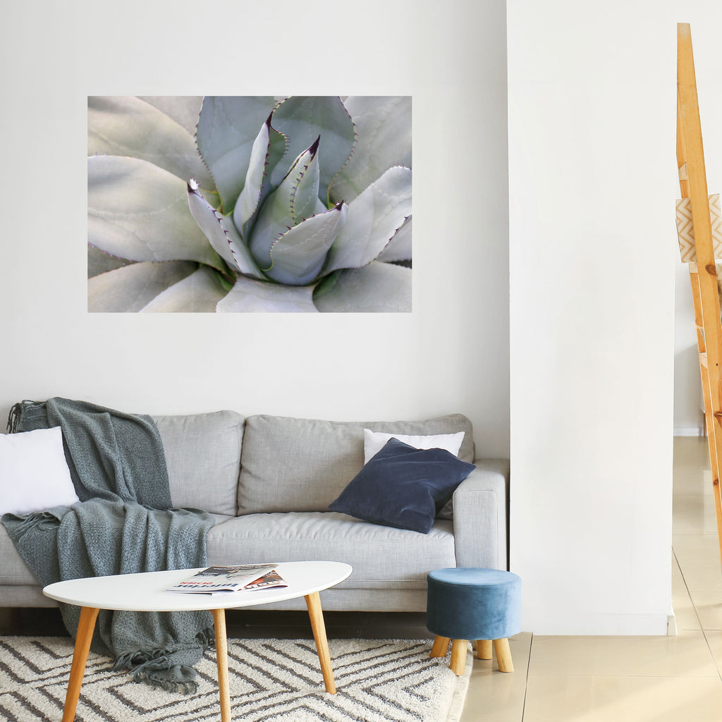 Affiche horizontale autocollante AGAVE ELEGANCE