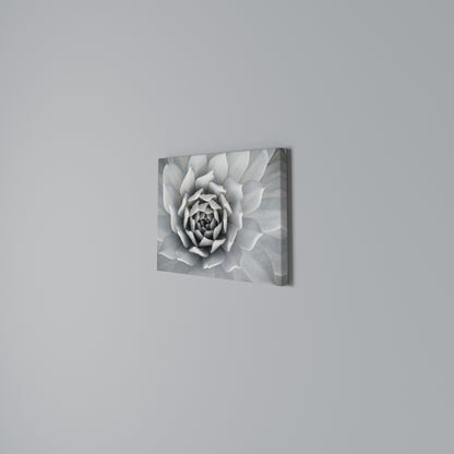 ELEGANT PETAL SWIRL Horizontal Canvas Print