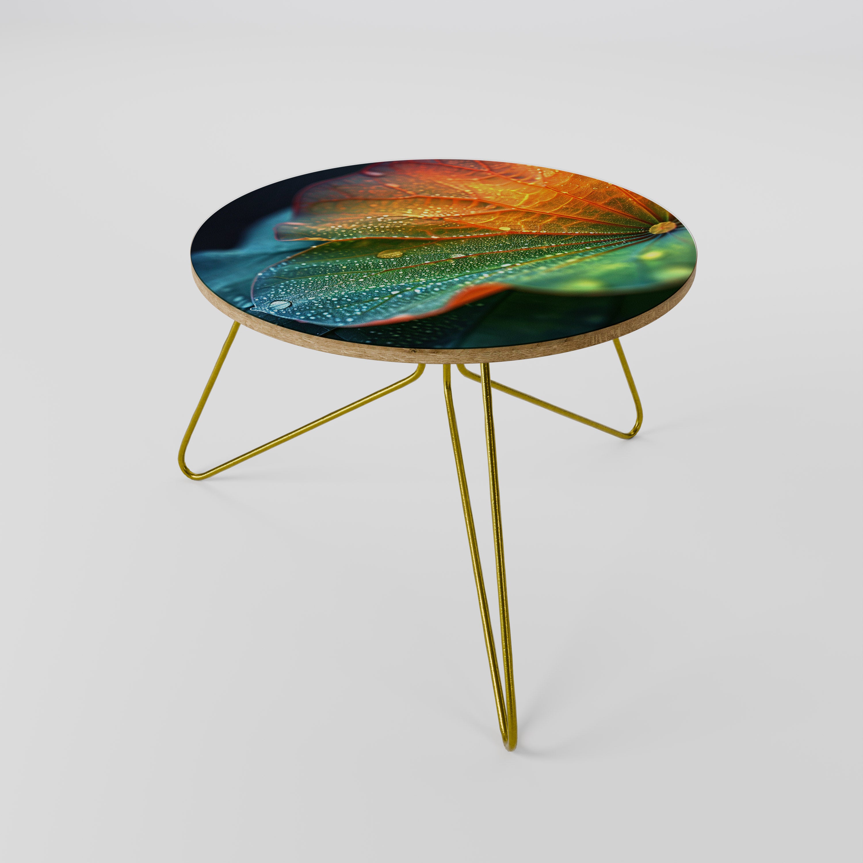 ECHOES OF RAIN Coffee Table