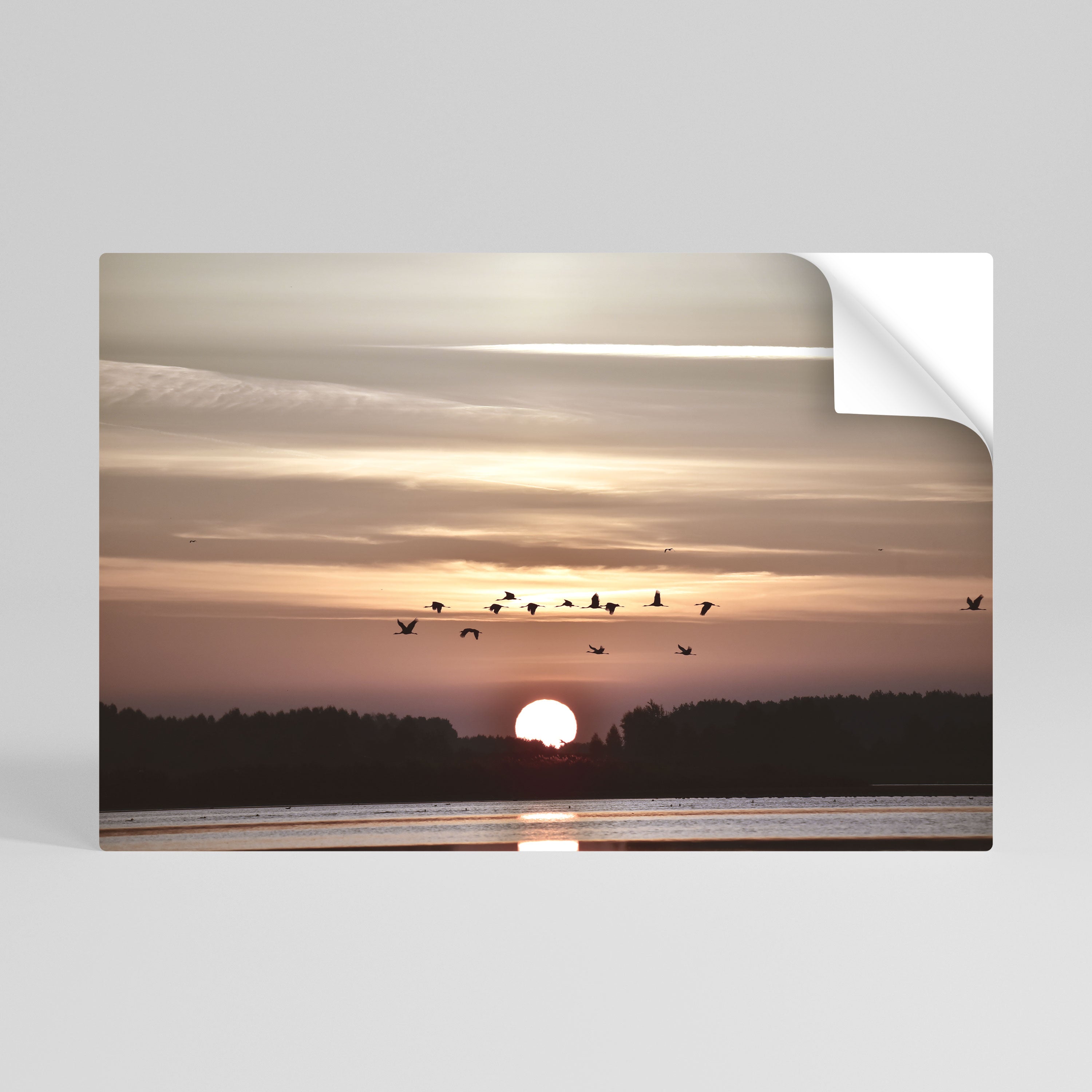 Affiche horizontale autocollante SUNSET FLIGHT SYMPHONY