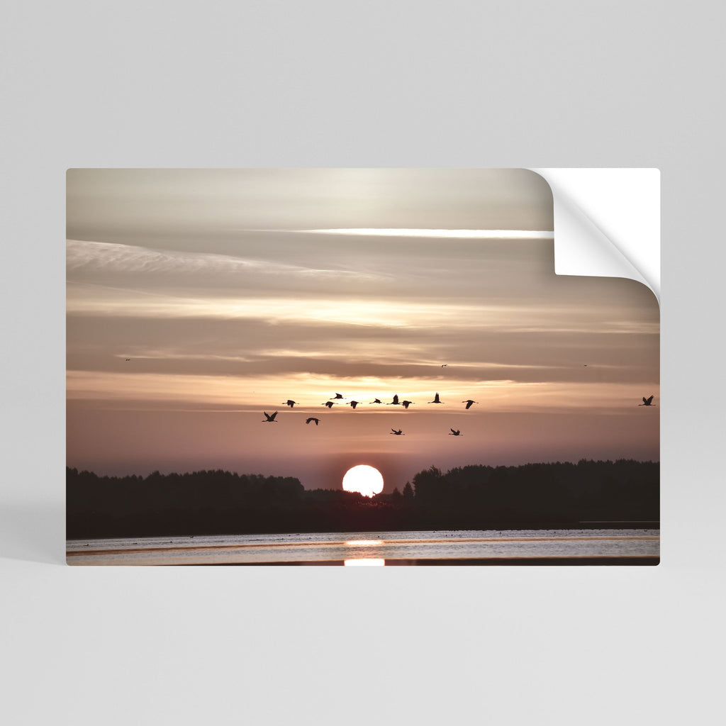 Affiche horizontale autocollante SUNSET FLIGHT SYMPHONY