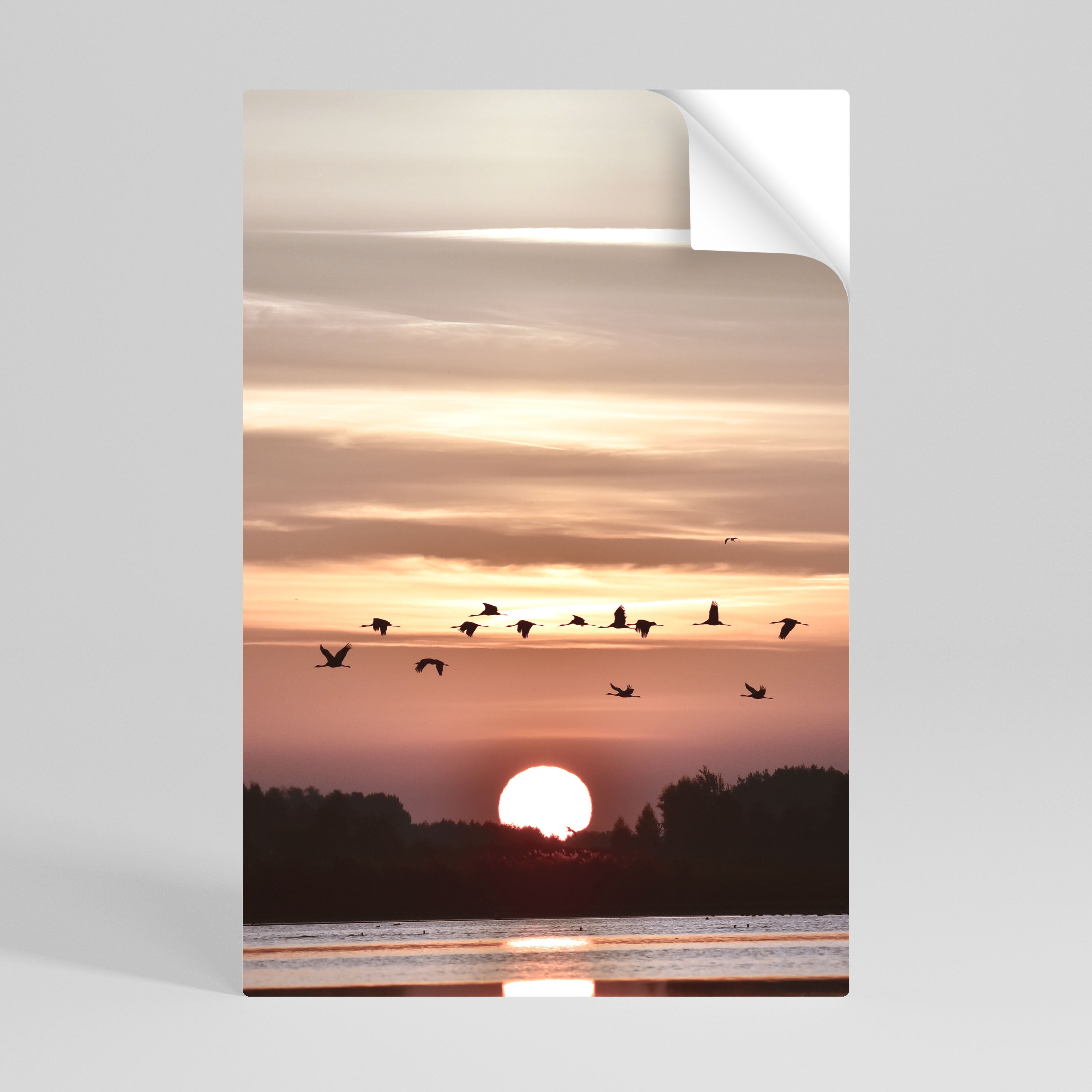 SUNSET FLIGHT SYMPHONY Peel and Stick Vertical Poster