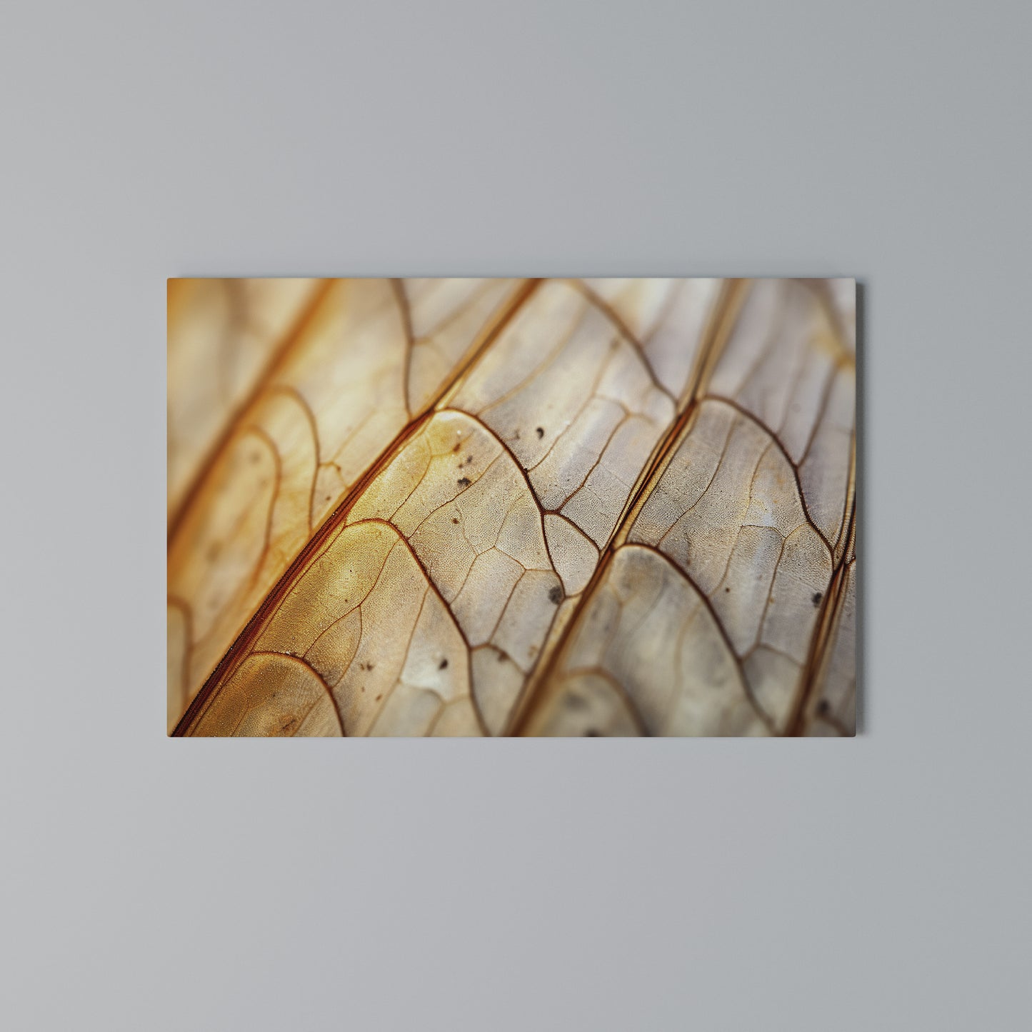 ELEGANT VEINING Horizontal Canvas Print