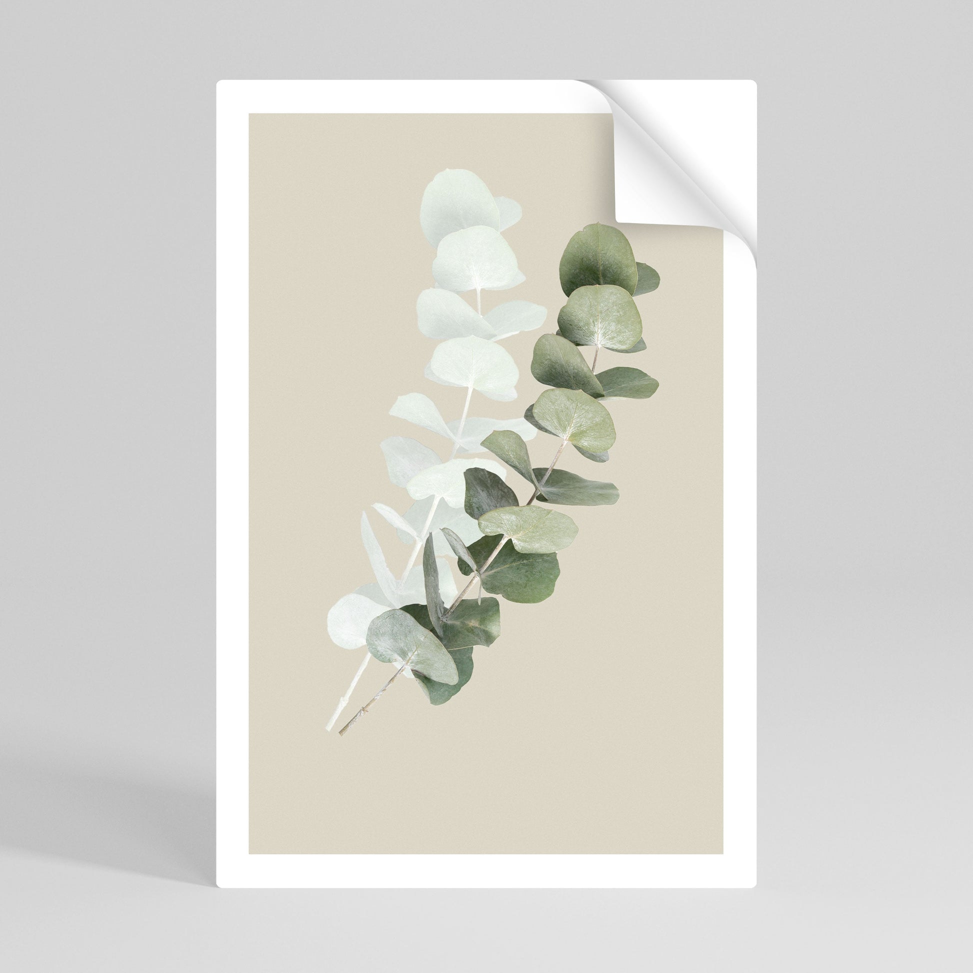 Affiche verticale autocollante « NATURE TRANSLUCIDE »