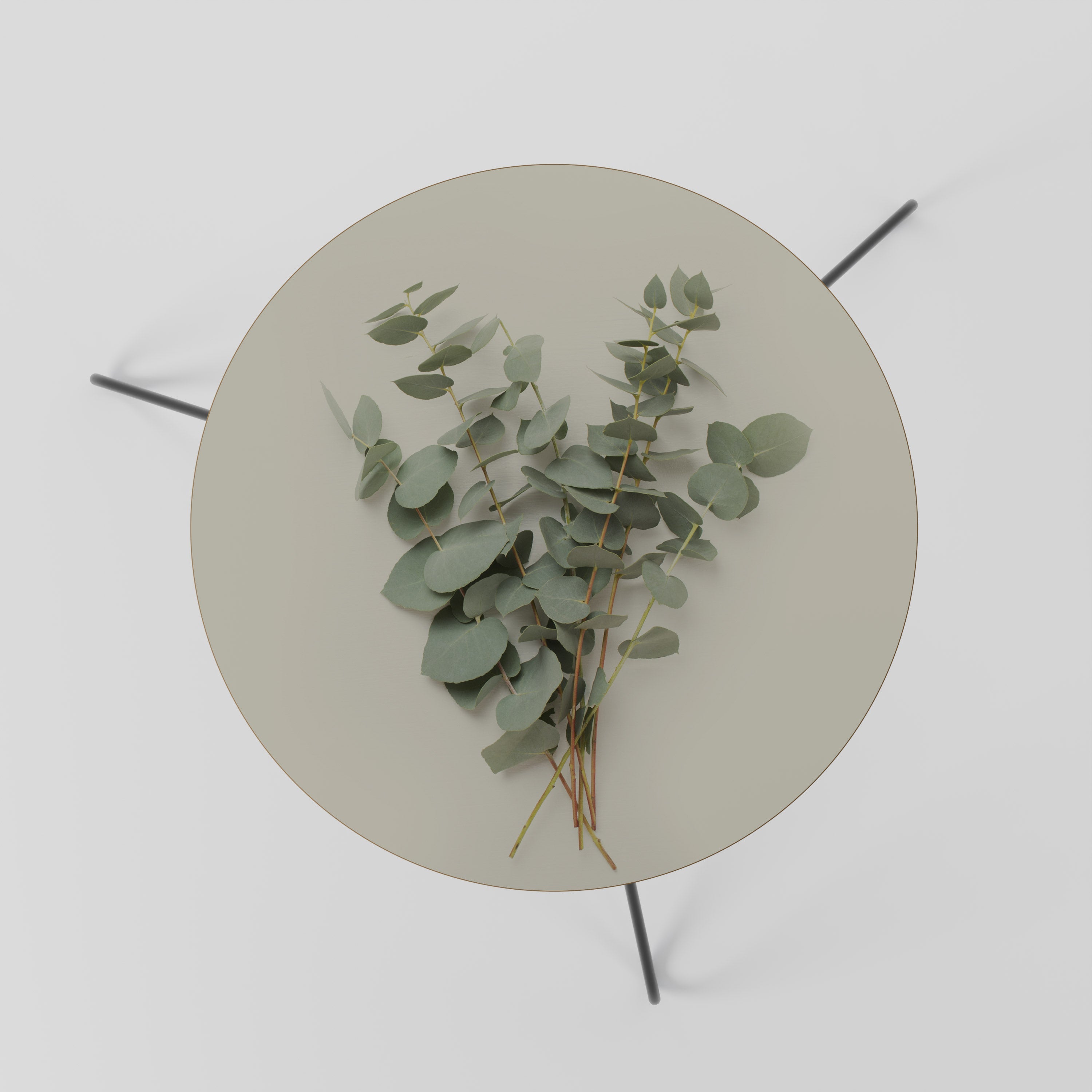 Table basse FOLIAGE FANTASIES 60