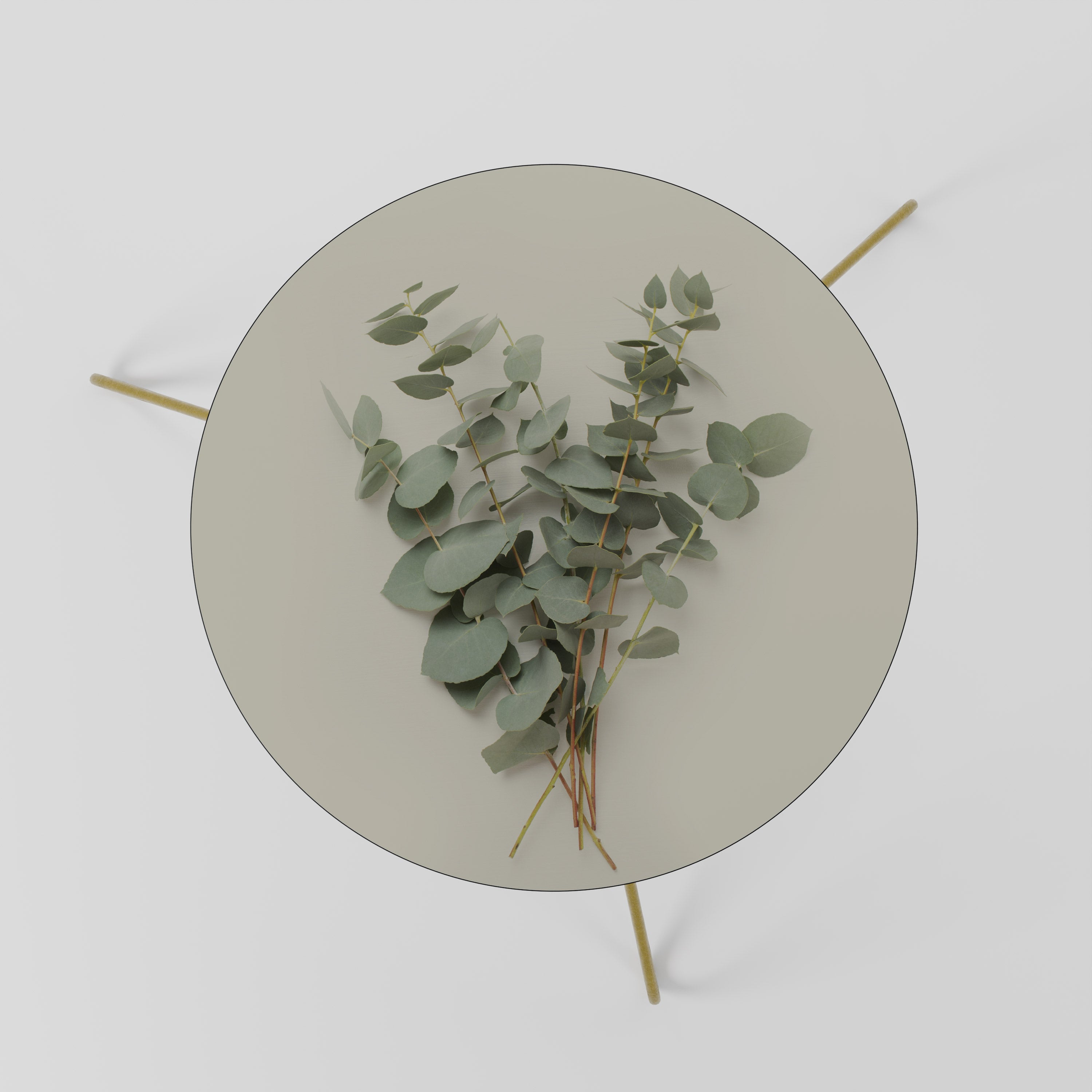 Table basse FOLIAGE FANTASIES 60