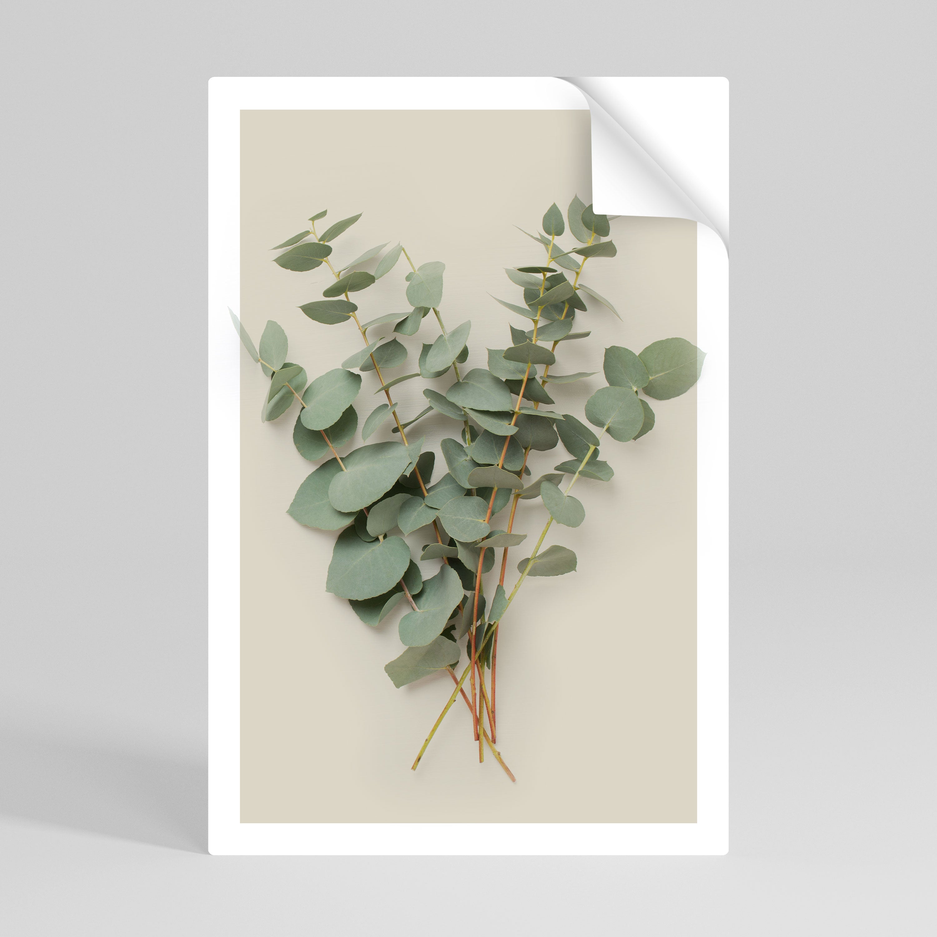 Affiche verticale autocollante FOLIAGE FANTASIES