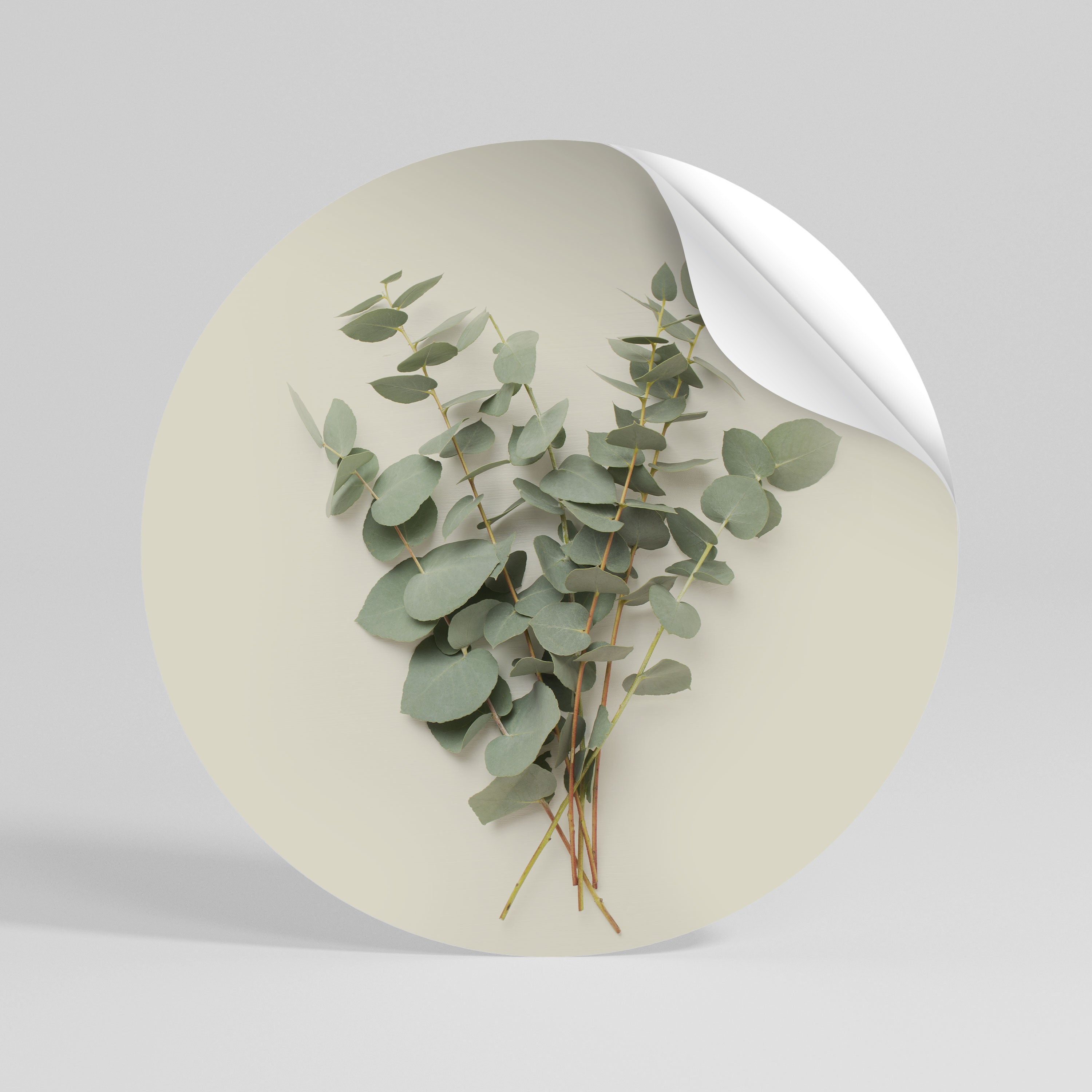 FOLIAGE FANTASIES Peel and Stick Round Sticker