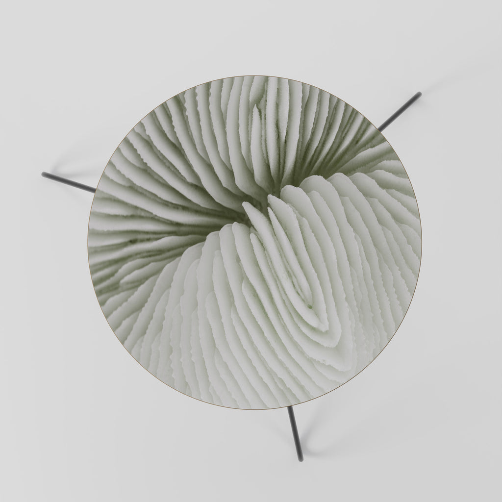 Table basse NATURE'S SYMMETRY 60