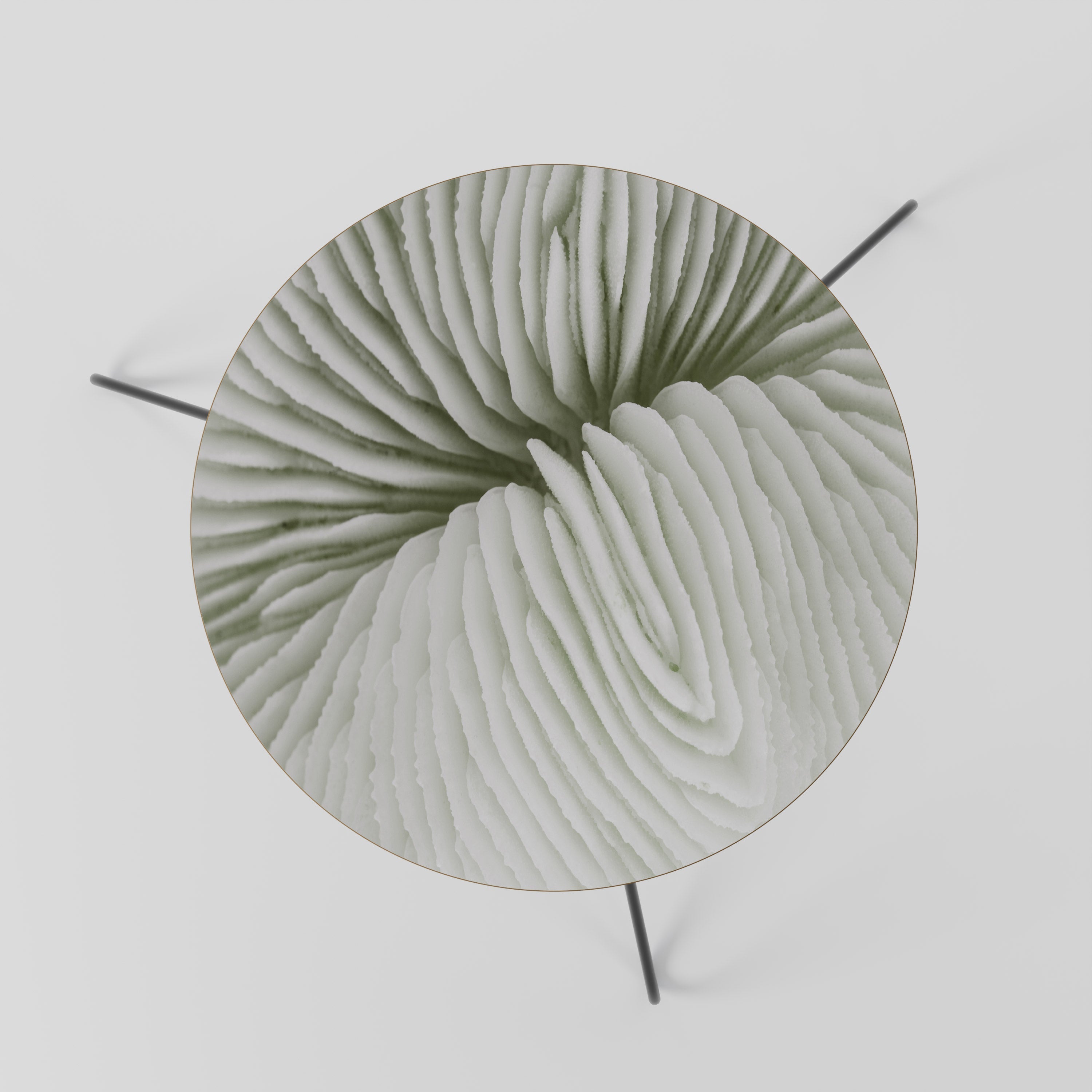 Table basse NATURE'S SYMMETRY 60