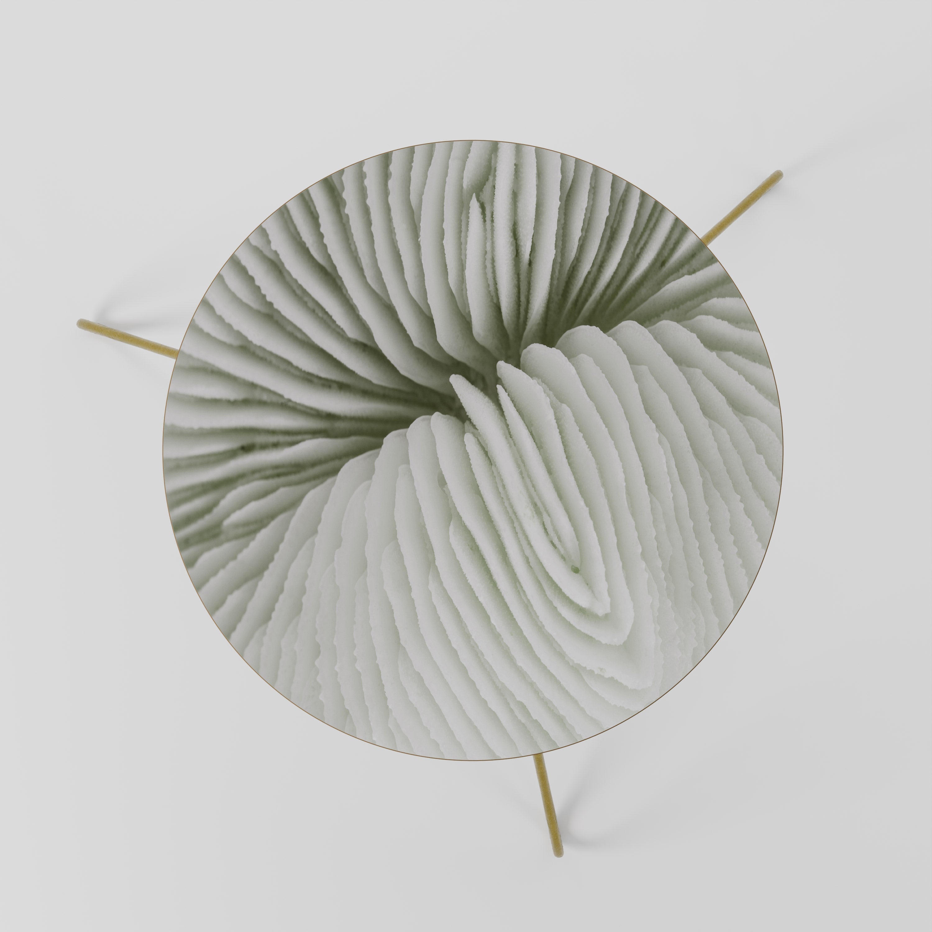 Table basse NATURE'S SYMMETRY 60