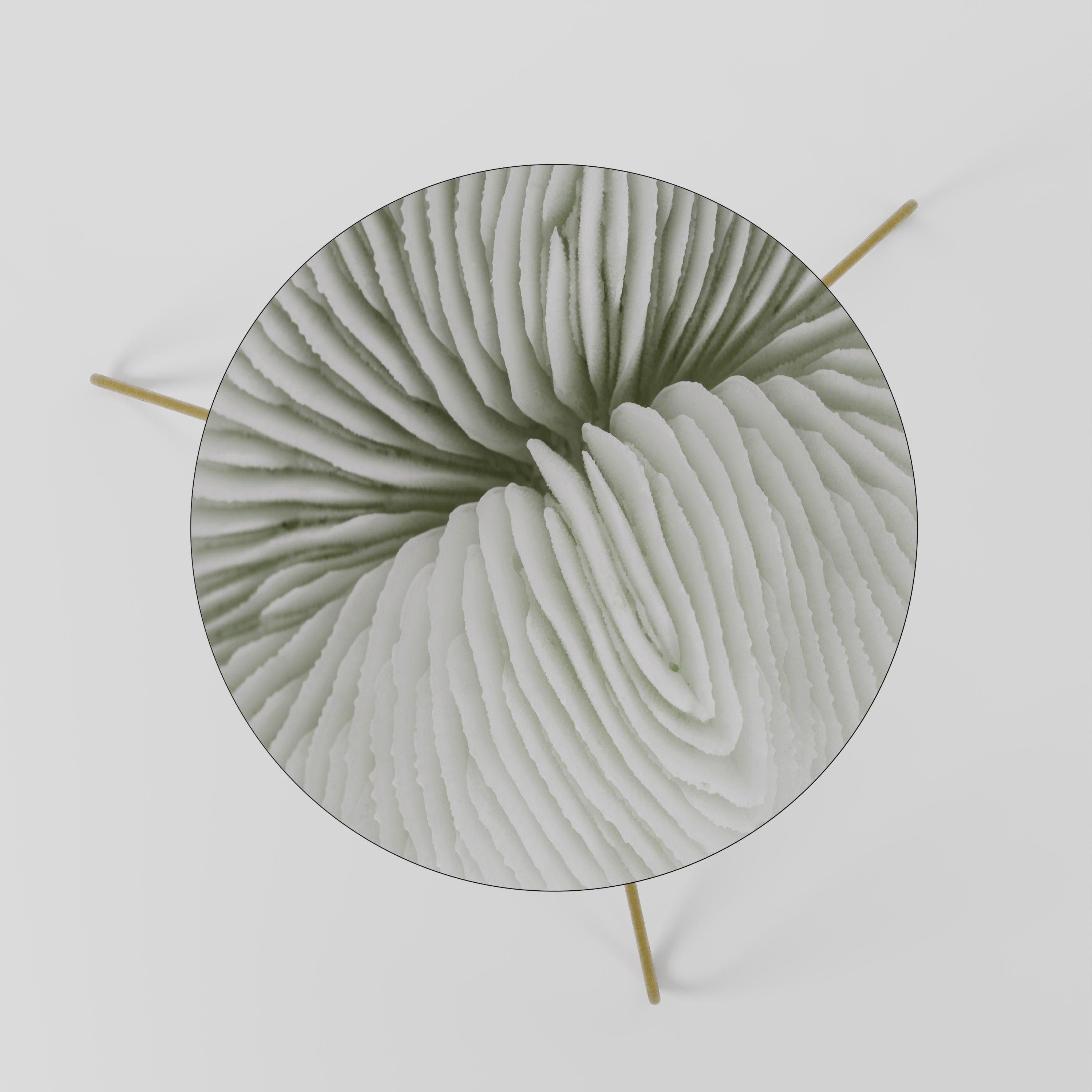 Table basse NATURE'S SYMMETRY 60