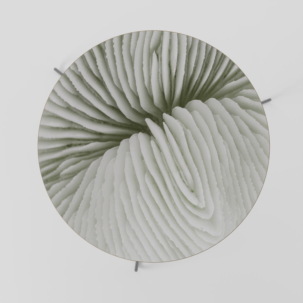 Table basse NATURE'S SYMMETRY 69