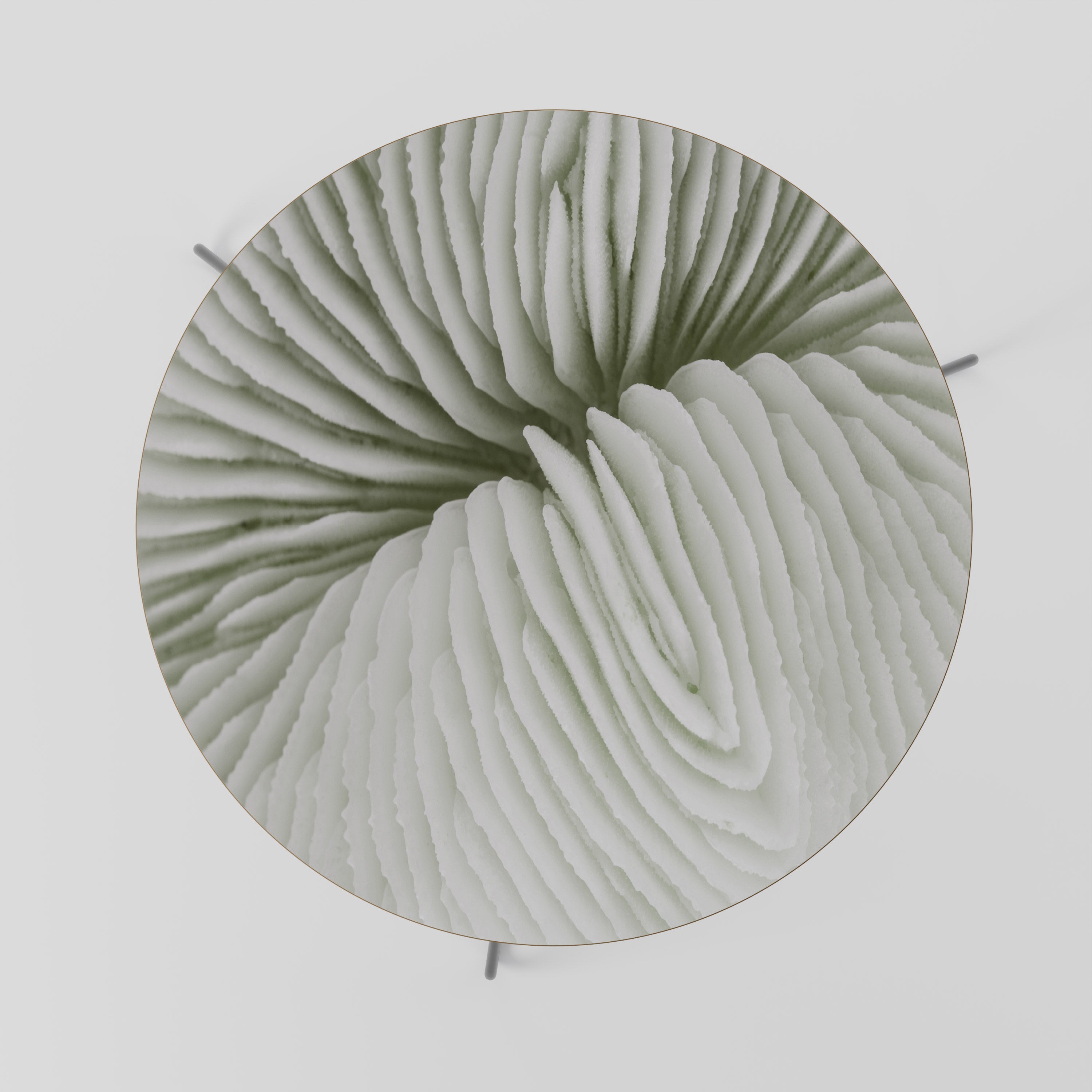 Table basse NATURE'S SYMMETRY 69