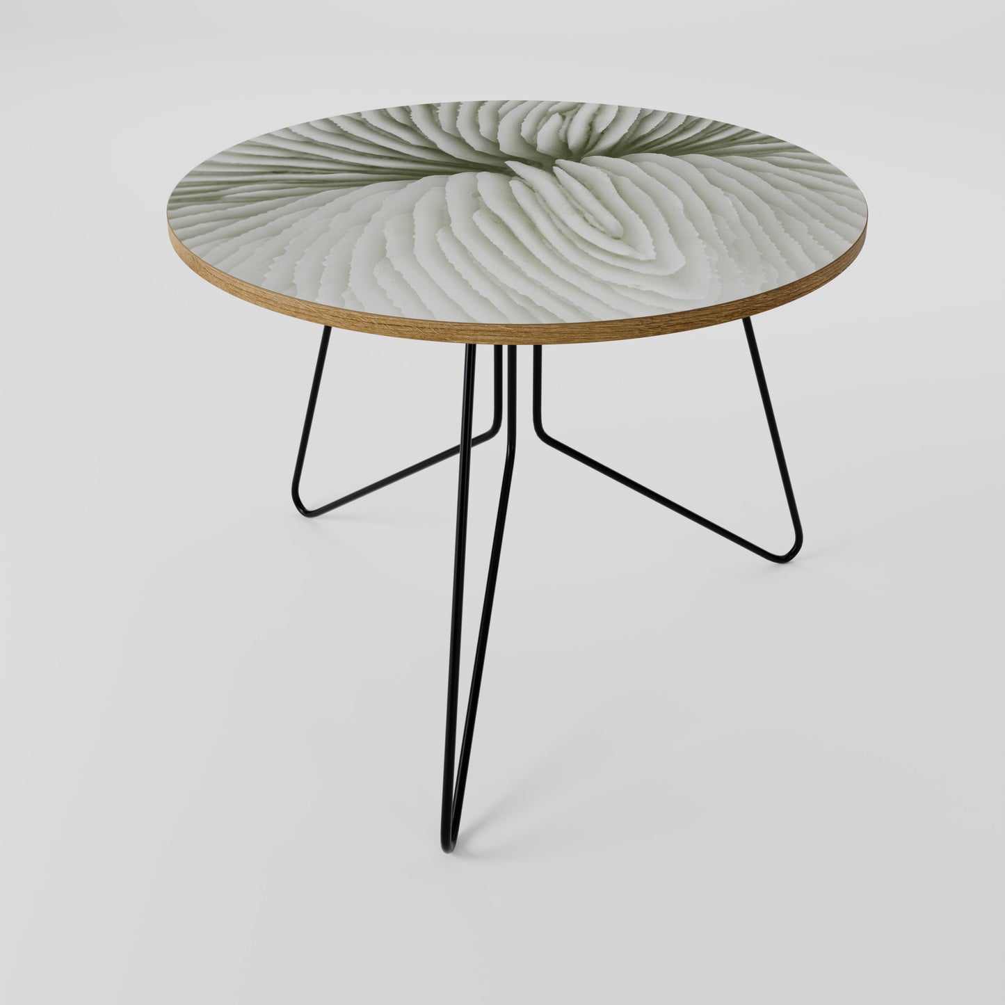 NATURE'S SYMMETRY Coffee Table