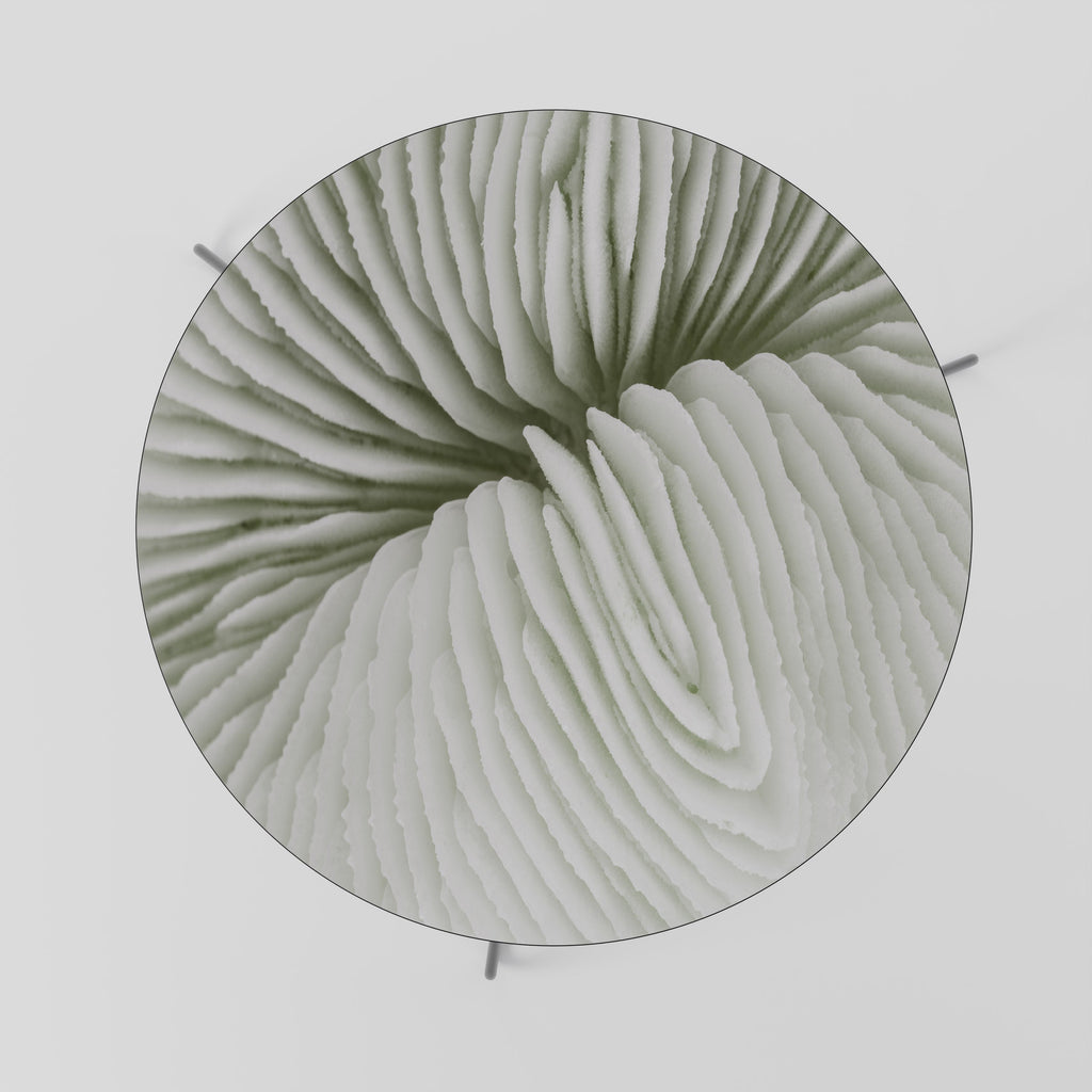 Table basse NATURE'S SYMMETRY 69