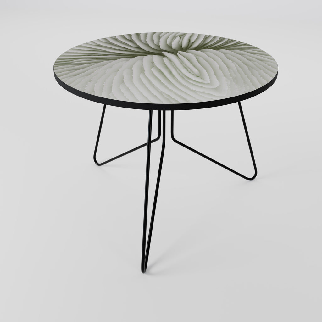 NATURE'S SYMMETRY Coffee Table