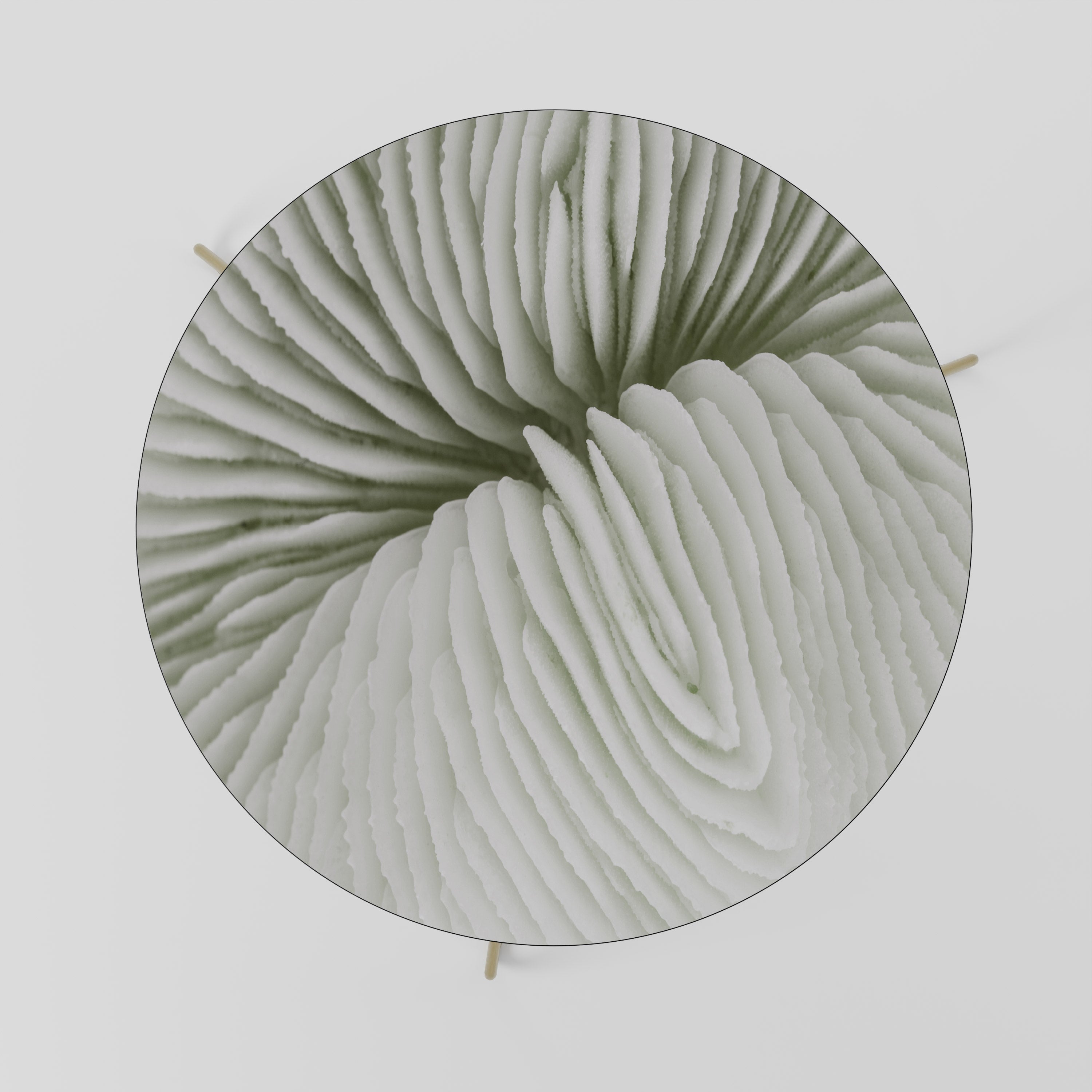 Table basse NATURE'S SYMMETRY 69